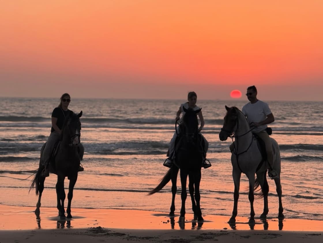 Three horse riders silhouetted against the sunset on Essaouira beach