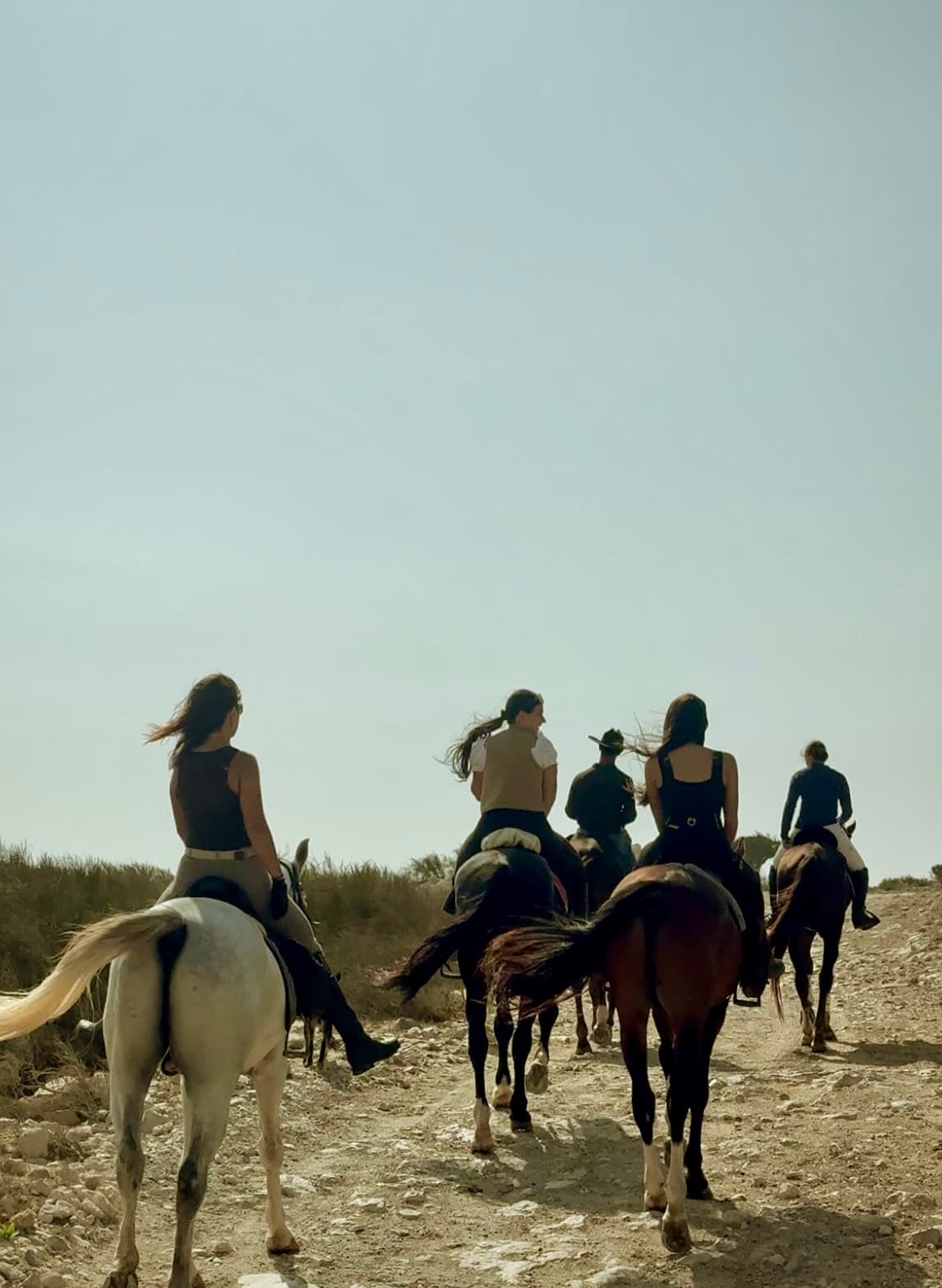 Group of riders on the beach