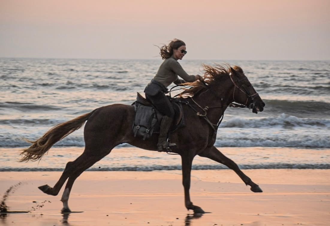 Rider galloping on Essaouira beach