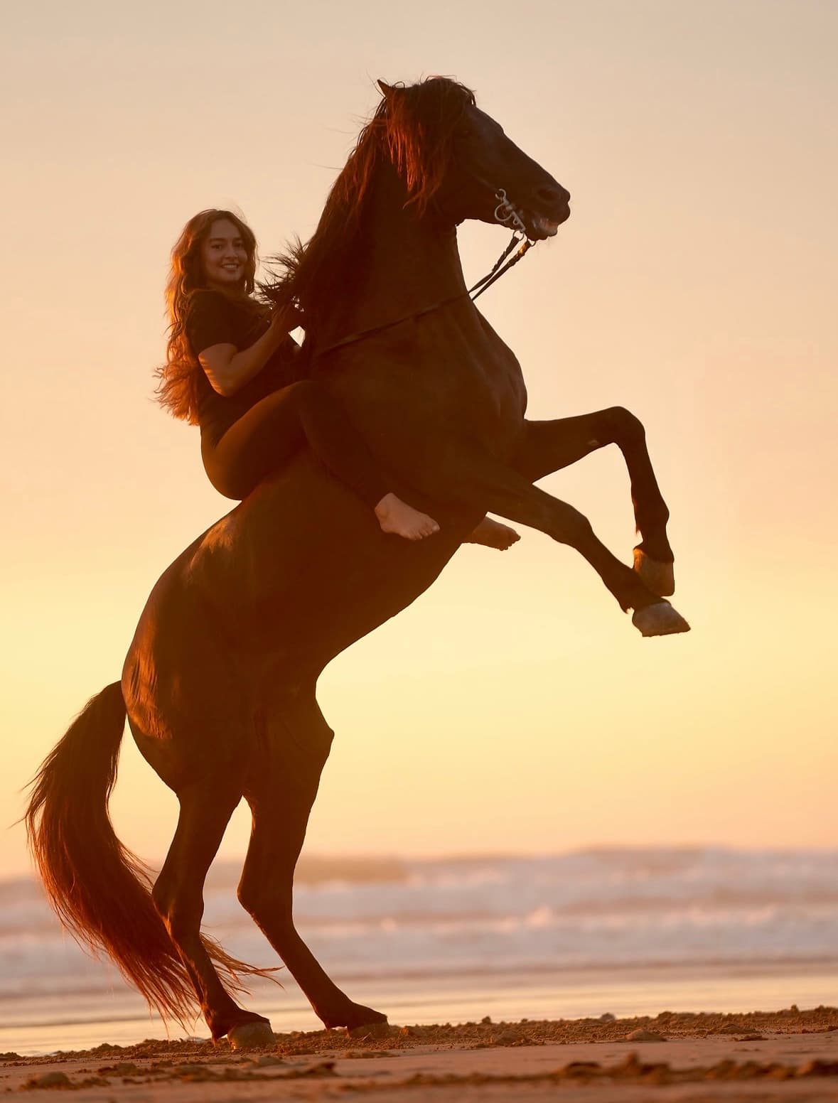 Horse rearing at sunset with rider on Essaouira beach