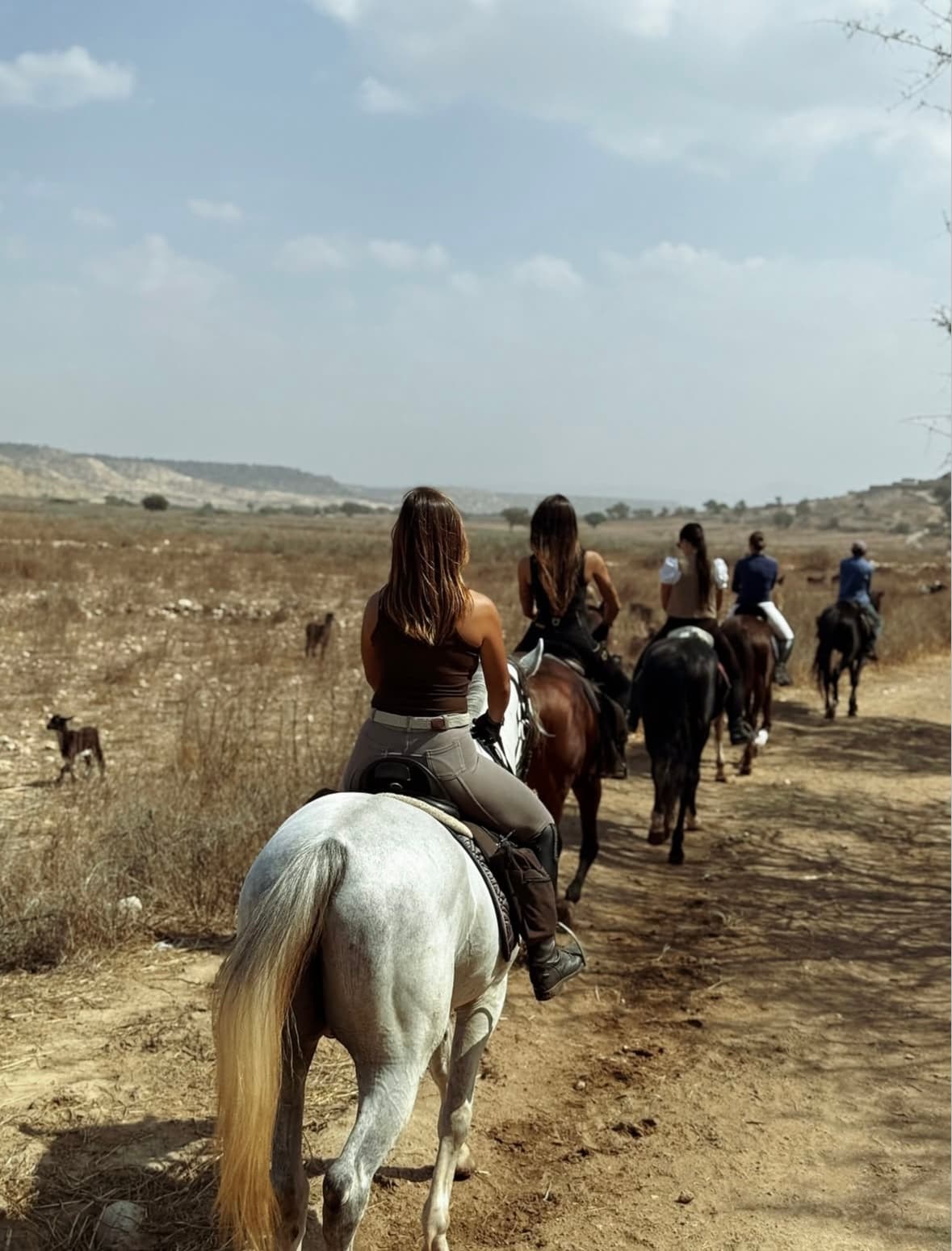 Group ride on a countryside trail