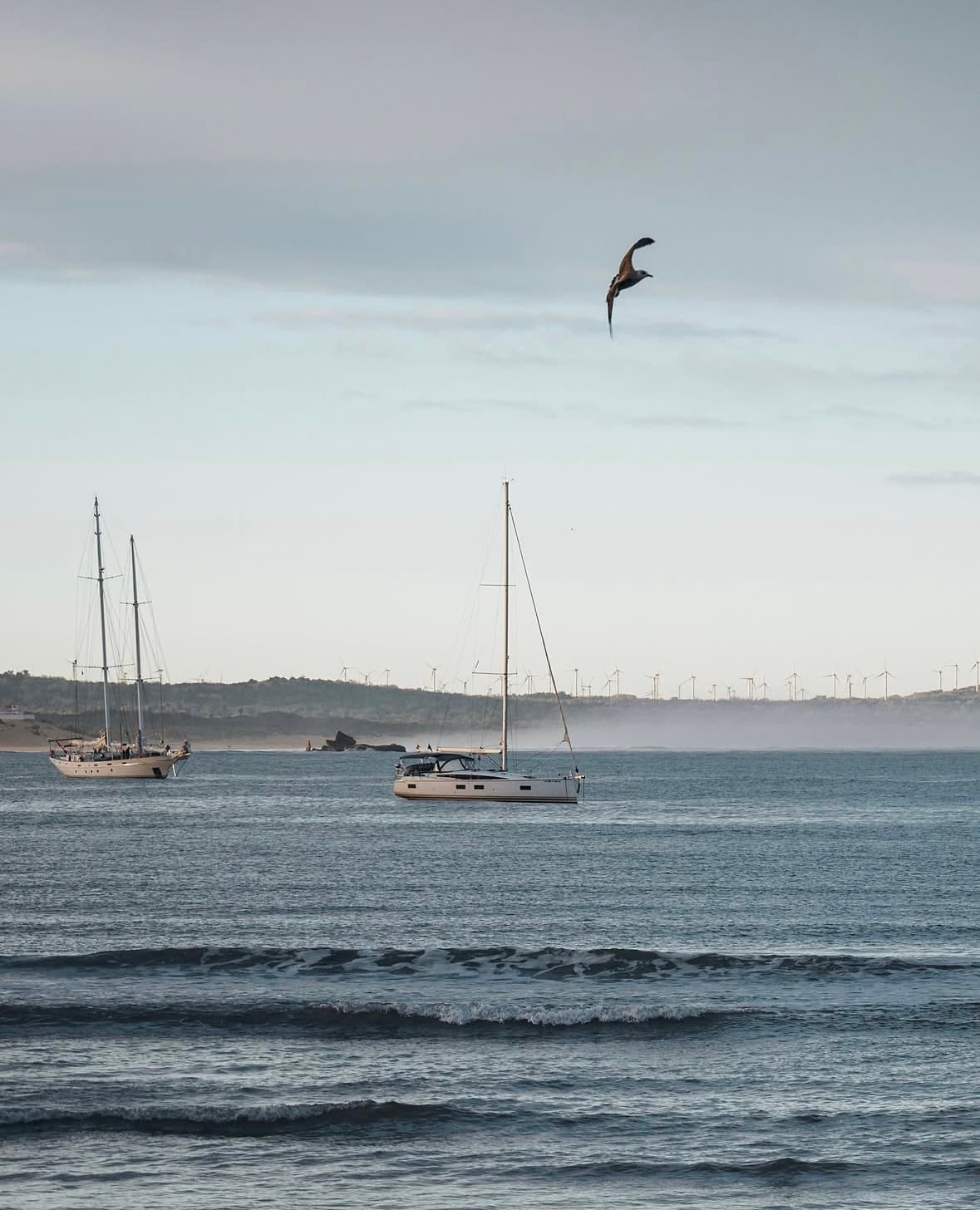 Boats in the bay